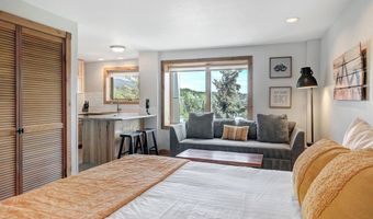 535 S Park Ave 317, Breckenridge, CO 80424