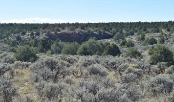 Matisse Road, Carson, NM 87517