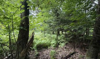 1386 Clif Reynolds Rd, Cambridge, VT 05444