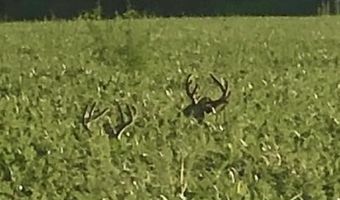 Bolivar Road, Benoit, MS 38725