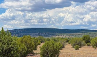215 Gleed Station Rd Lot C 10 Acre, Ash Fork, AZ 86320
