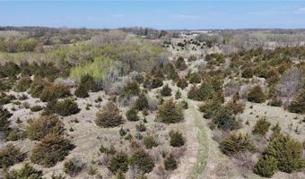 8619 State Highway 55 NW, Annandale, MN 55302