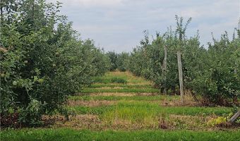 3120 Densmore Rd, Albion, NY 14411