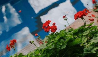 925 W North St, Aspen, CO 81611