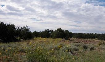 Bar Nothing Ranch Road unit 409 409, Chambers, AZ 86502