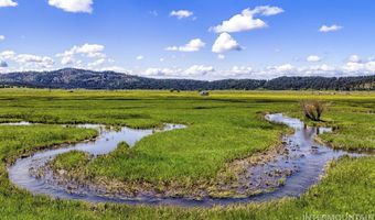 17 Gray Ln, Cascade, ID 83611