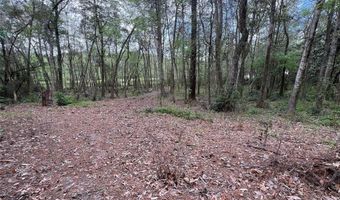 Driftwood Ln, Andalusia, AL 36421