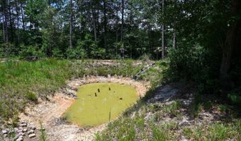 Rooks Road, Atkinson, NC 28421