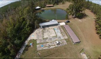 2731 Sawmill Rd, Ailey, GA 30410