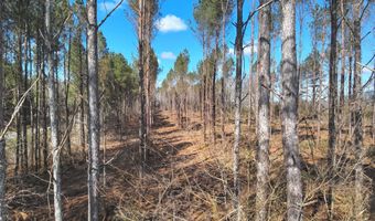 Smith County Road 99, Bay Springs, MS 39422