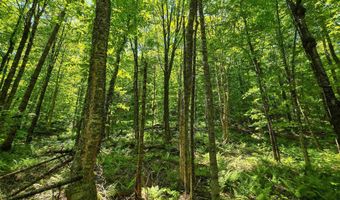 150 Spur Rd, Bloomfield, VT 05905