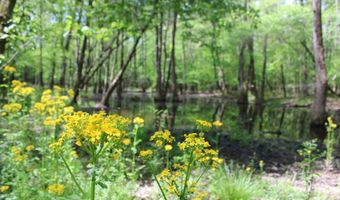 Ruffner Road 00, Barnesville, GA 30204