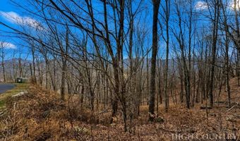Wakeman Way, Banner Elk, NC 28604