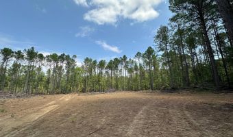 1 Champion Hill Rd, Bolton, MS 39041
