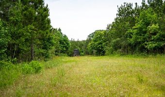 7399 Amon Hill Rd, Bastrop, LA 71220