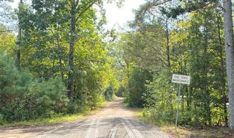 18 62 Ac Squirrell Hollow Rd, Alberta, VA 23821