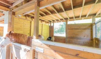 560 N LAKE PLEASANT Rd, Apopka, FL 32712