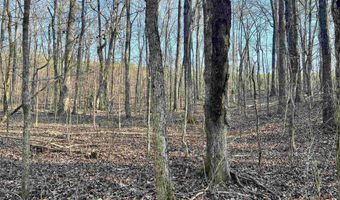 0009 SPRINGHOLLOW Rd Lot 9, Ashville, AL 35953