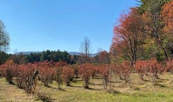 44 Pleasant View Rd, Bradford, NH 03221