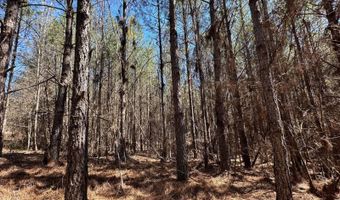 3 County Road 5112, Ethel, MS 38829