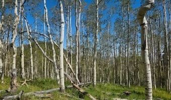 40 Acres Summit Mountain Rd, Brian Head, UT 84719
