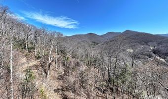 99999 Green Ridge Falls Rd 17, Barnardsville, NC 28709