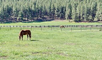 2500 CR 505, Bayfield, CO 81122