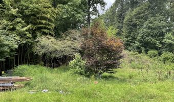 334 Atlanta St, Barnesville, GA 30204