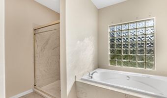 1207 FIGHTING BUCK Ave, Alpine, TX 99999