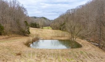 Willis Creek Rd, Albany, KY 42602