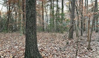 0 Pebble Creek Ln, Alto, GA 30510