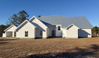 429 Deens Landing Rd, Baxley, GA 31513