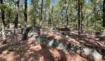 Tract 51 Highway 2, Antlers, OK 74523