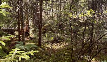 Thorn Hill Road lot 406/22, Bethlehem, NH 03574