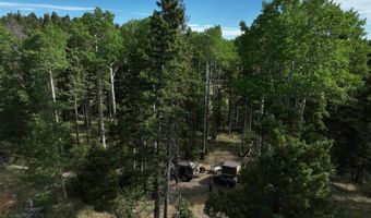 168 Mertz Pl Lot 65, Angel Fire, NM 87710