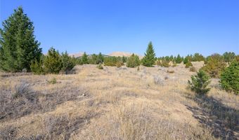 NHN Trails End Drive, Anaconda, MT 59711