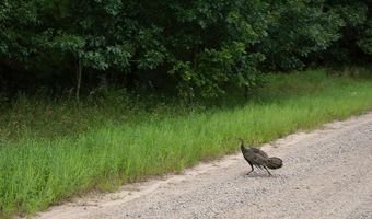 Lot 27 10th Avenue, Adams, WI 53910