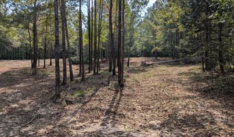 6982 Moontown Dr, Appling, GA 30802
