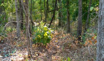 Cr 816, Blue Mountain, MS 38610