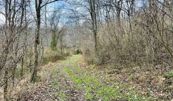 16749 Mush Run Rd, Athens, OH 45701