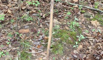 E Mountain Road, Bee Branch, AR 72013