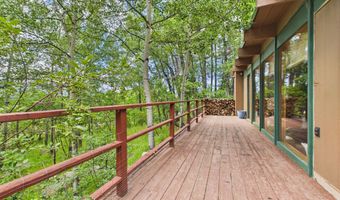 209 E Reds Rd Guest House, Aspen, CO 81611