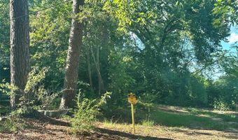 Lot 45 Harris, Sulphur Springs, TX 75482