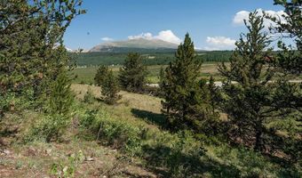 268 HIGH RIVER Ct, Alma, CO 80420