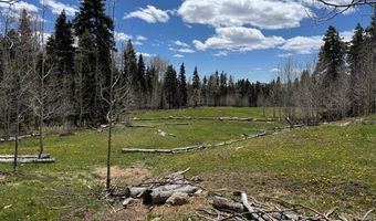 4558 Middle Mountain Rd, Bayfield, CO 81122