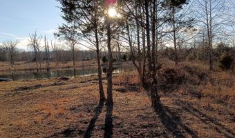 2479 County Road 304, Alton, MO 65606