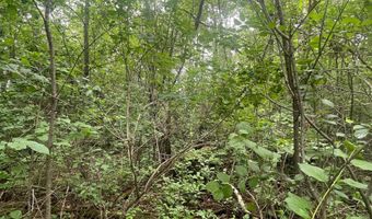 Degerstrom Road, Askov, MN 55704