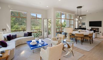 250 Mountain Laurel Dr B, Aspen, CO 81611