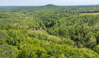 Ahart Ridge Rd lot 58 60 61, Ararat, VA 24053
