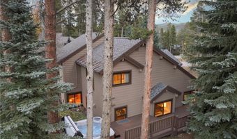 114 PARK FOREST Dr, Breckenridge, CO 80424